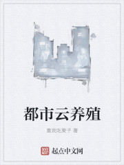基zz有机视频在线观看
