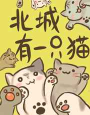 www.91在线视频