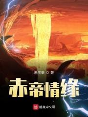 天海翼ipz945在线观看