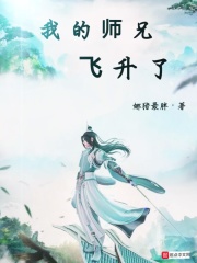 电视剧小夫妻大结局