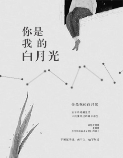 winbox下载
