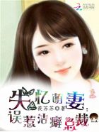 bl h 小说