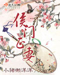 东北往事二十年电视剧