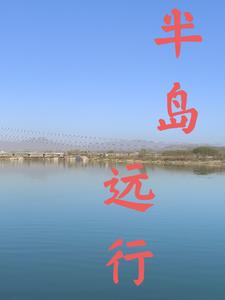 大橙子我的世界