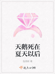 猫咪最新破解版百度云