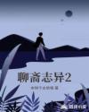 官场女人 杨雪 张梅
