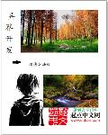 阿岘洞夫人
