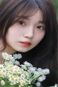 电视剧请叫我总监免费观看全集