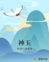 精选珍藏小说