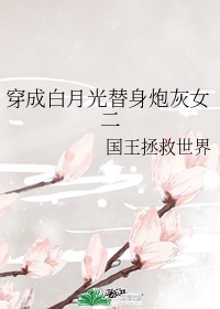 金瓶双艳在线观看