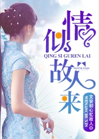 女王踩奴