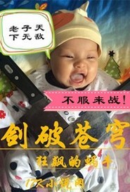 嫡妾风流
