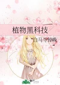新版潘金莲1一5集