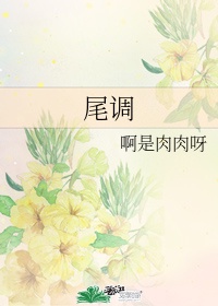 宁北布衣小说全文免费阅读