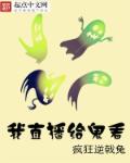无心法师第四季