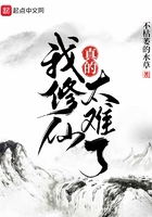 日比视频
