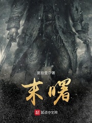 艳婢桃儿 包书
