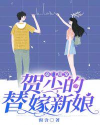 小说少年啊宾