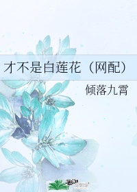 波多野结衣作品