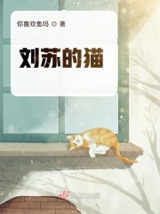 添b的过程视频播放