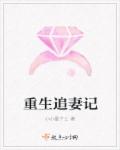 雷安车图无遮挡长图