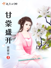 玫瑰txt夜色无边