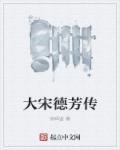 天盛长歌小说
