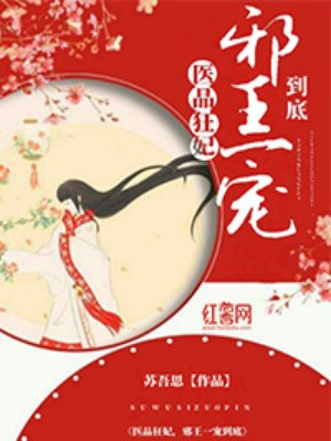 娇妻与公续系列小说