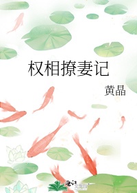 蓝天航空航天公司后篇