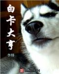 肖艾杨烁浮华逝梦全文