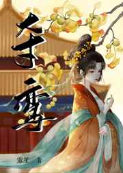 薛家将外传