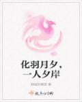 小城后妈小说阅读
