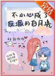 美国式禁忌5一12集