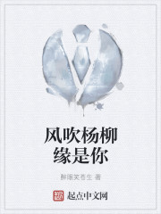 一级高清在线观看影片
