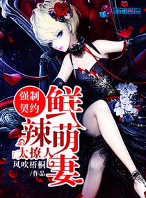 26xe网页升级狼