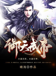 侠女十三妹小说