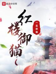 明星换脸av