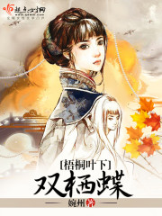 海贼王娜美游戏