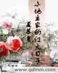 苹果手机怎么设置应用锁