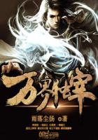插快点