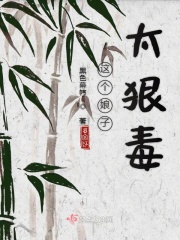 你是我的荣耀 小说