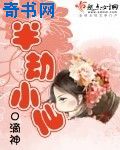 野花视频中文免费观看5