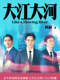闪闪发光大团结目录