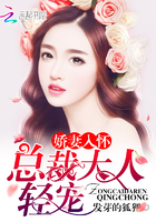 甄珠全文阅读书