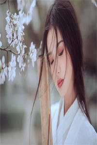 桃花岛在线观看