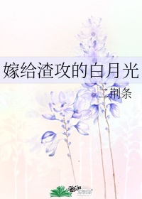 s系双胞胎