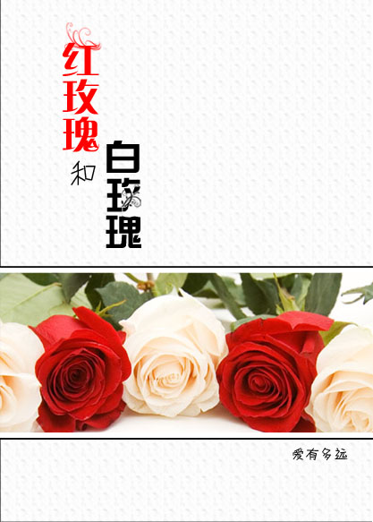 忍者杀手se