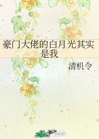 二十不惑在线观看免费完整版