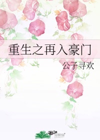 午夜1000集手机是免费