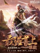 圣手神医林阳免费阅读
